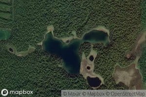 Willie Lake