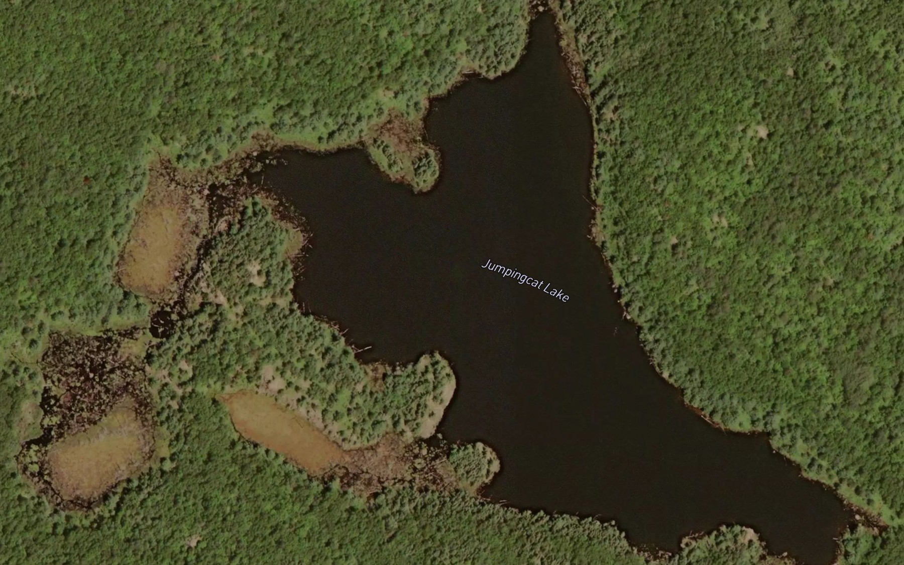 Satellite map of the Jumpingcat Lake