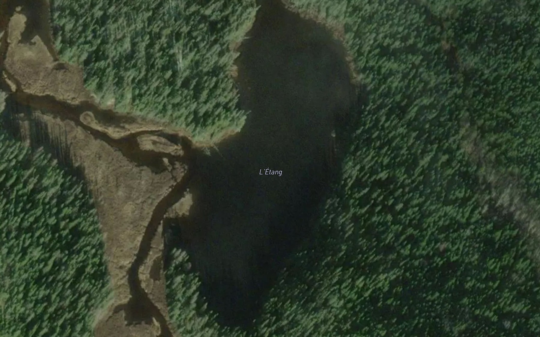 Satellite map of the L'Etang