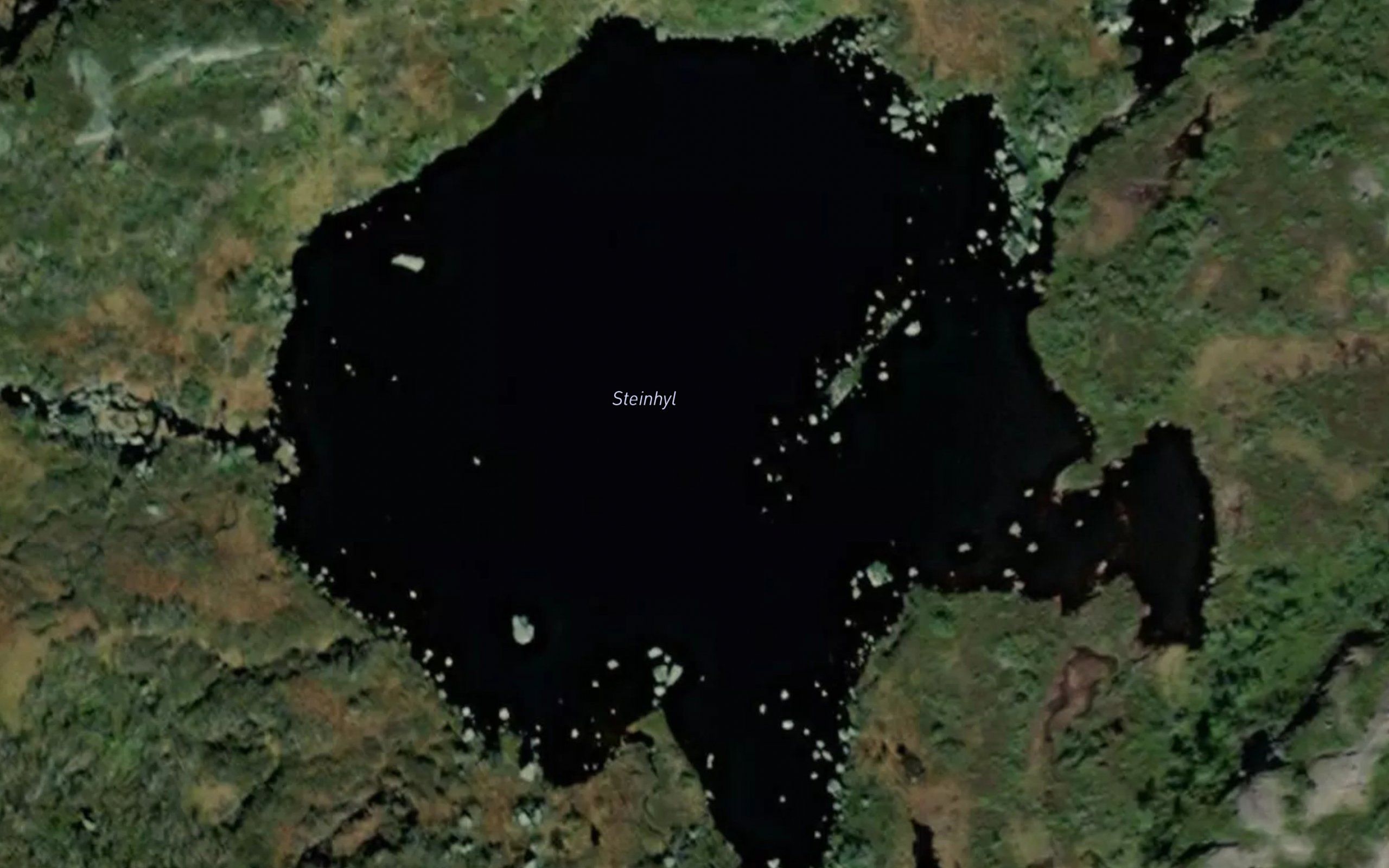 Steinhyl