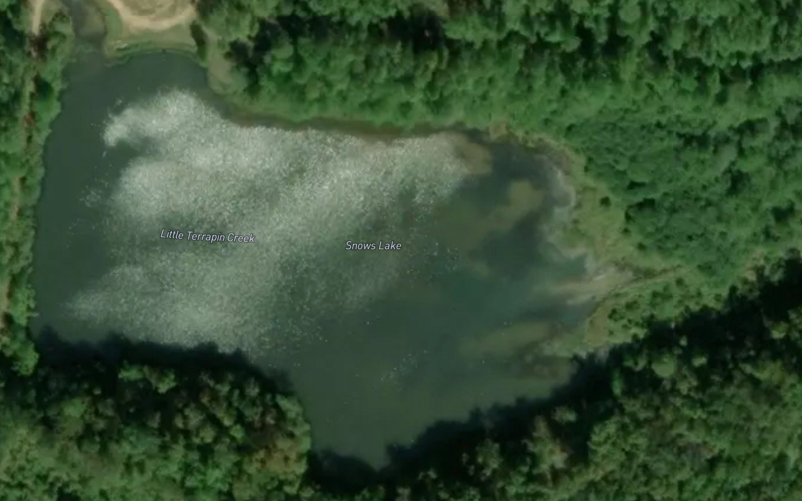 Snows Lake