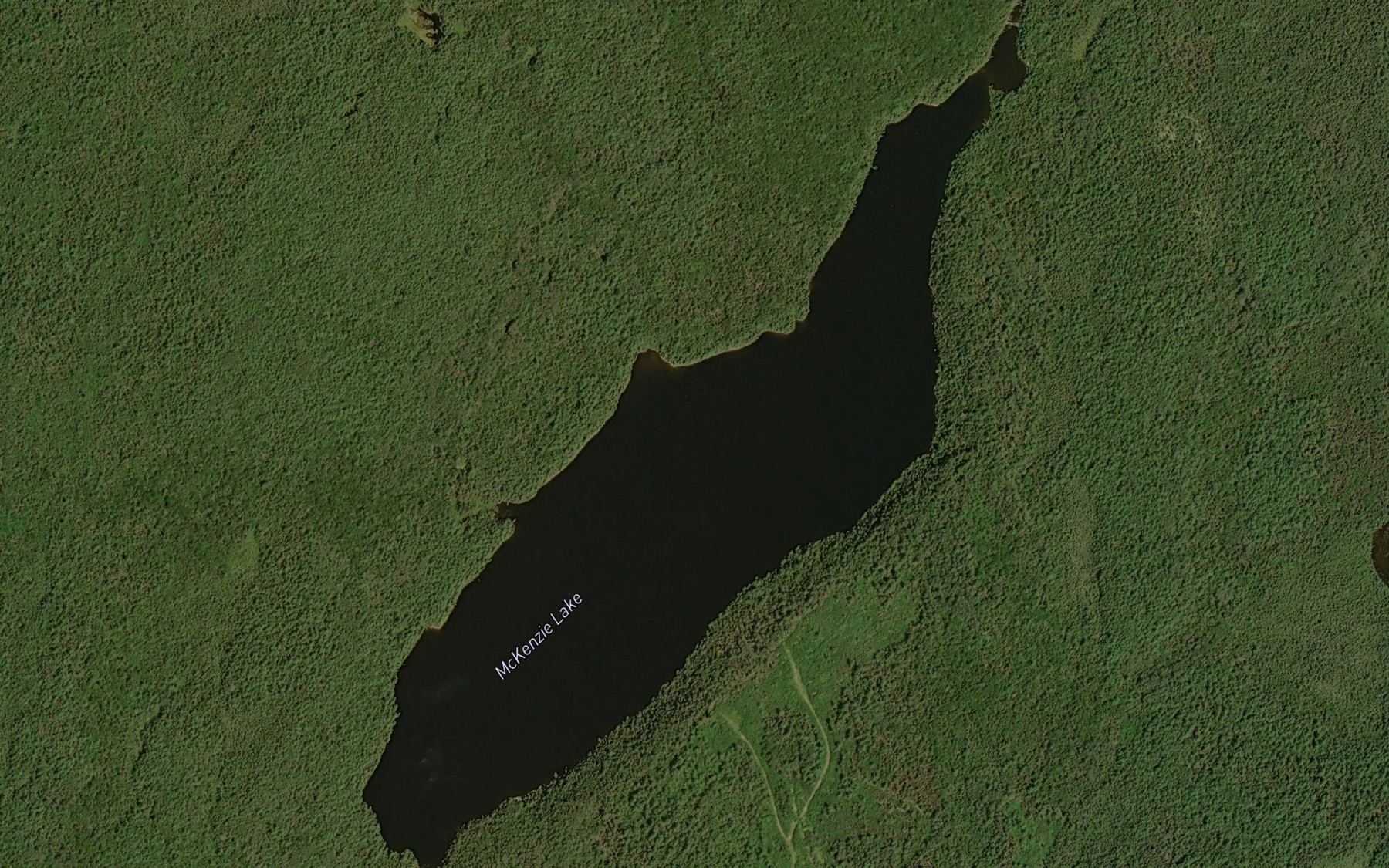 Satellite map of the McKenzie Lake