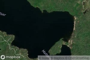 Baie Shields