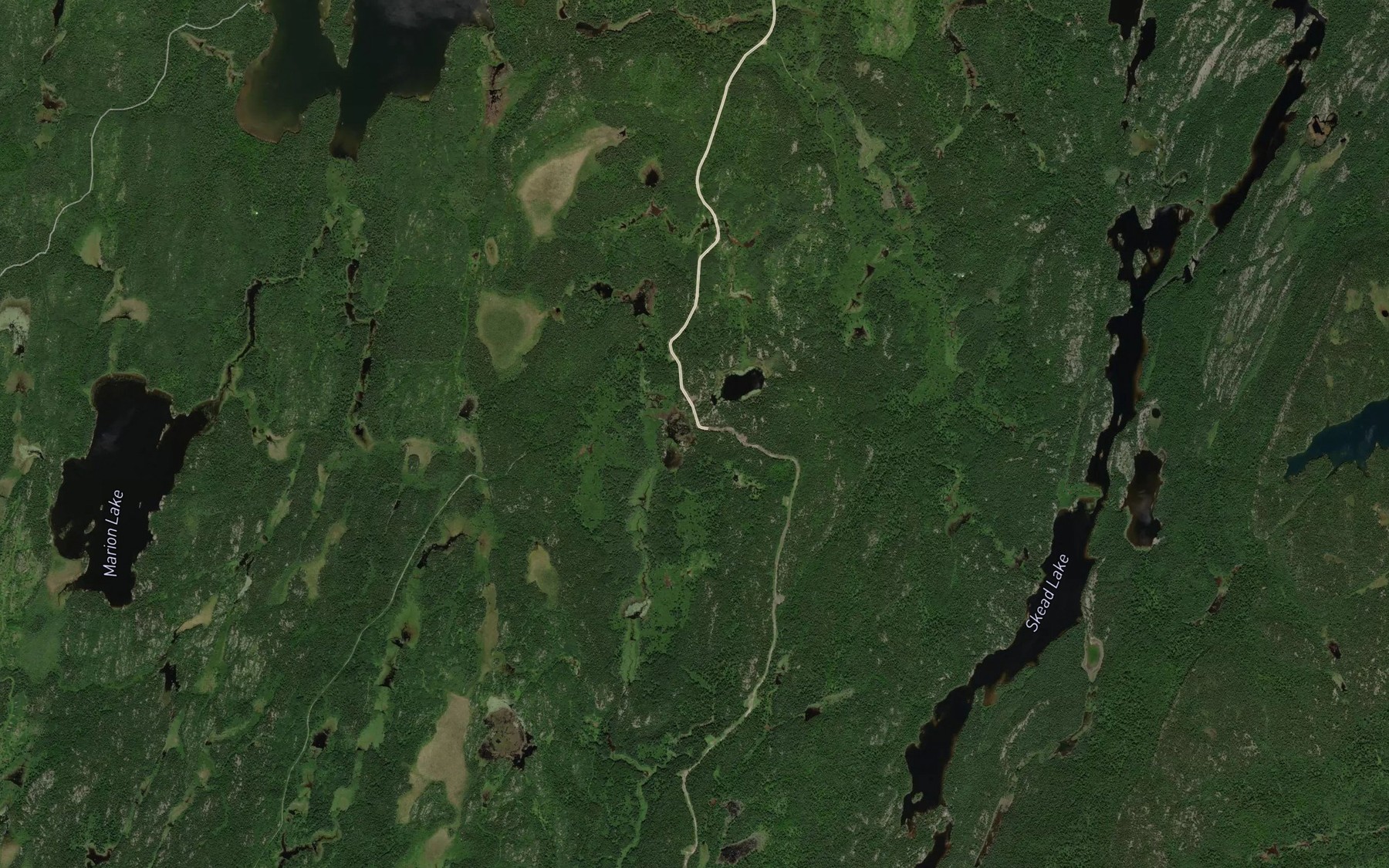 Satellite map of the McLean Pond