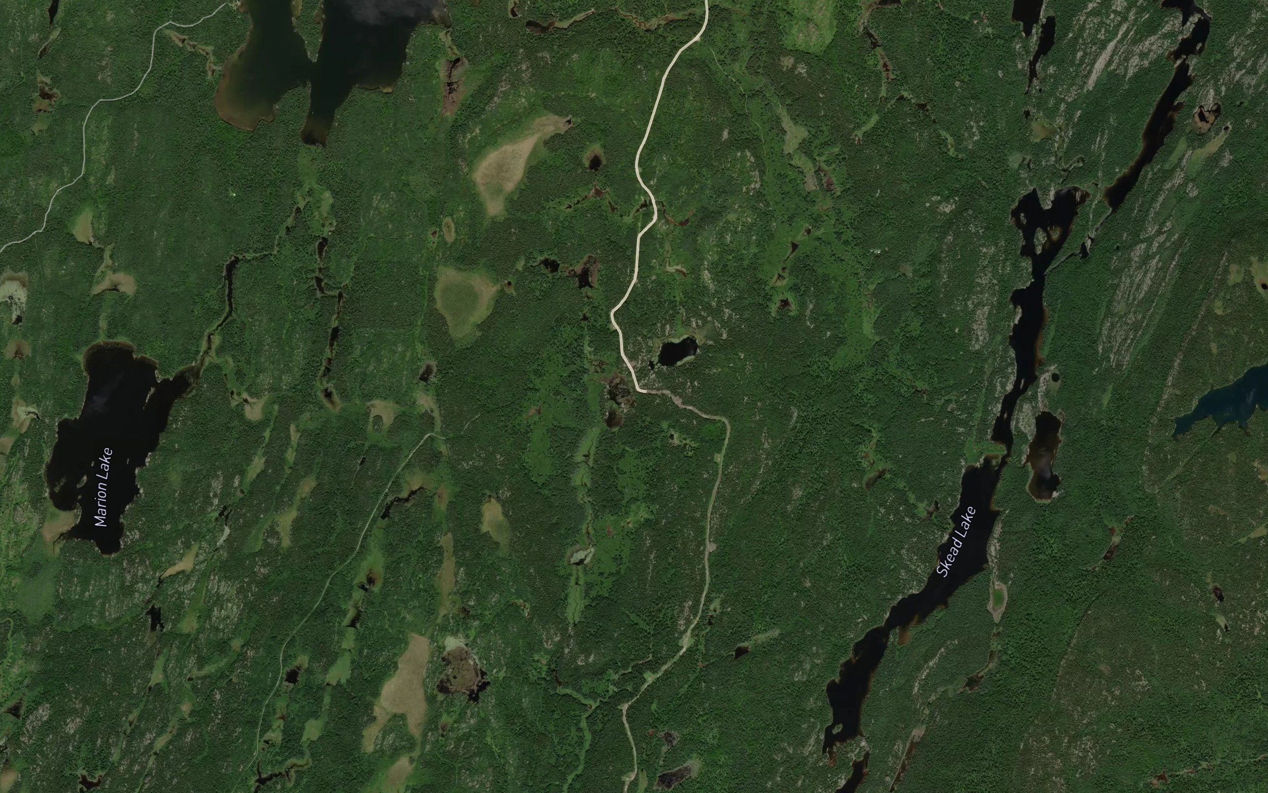 McLean Pond