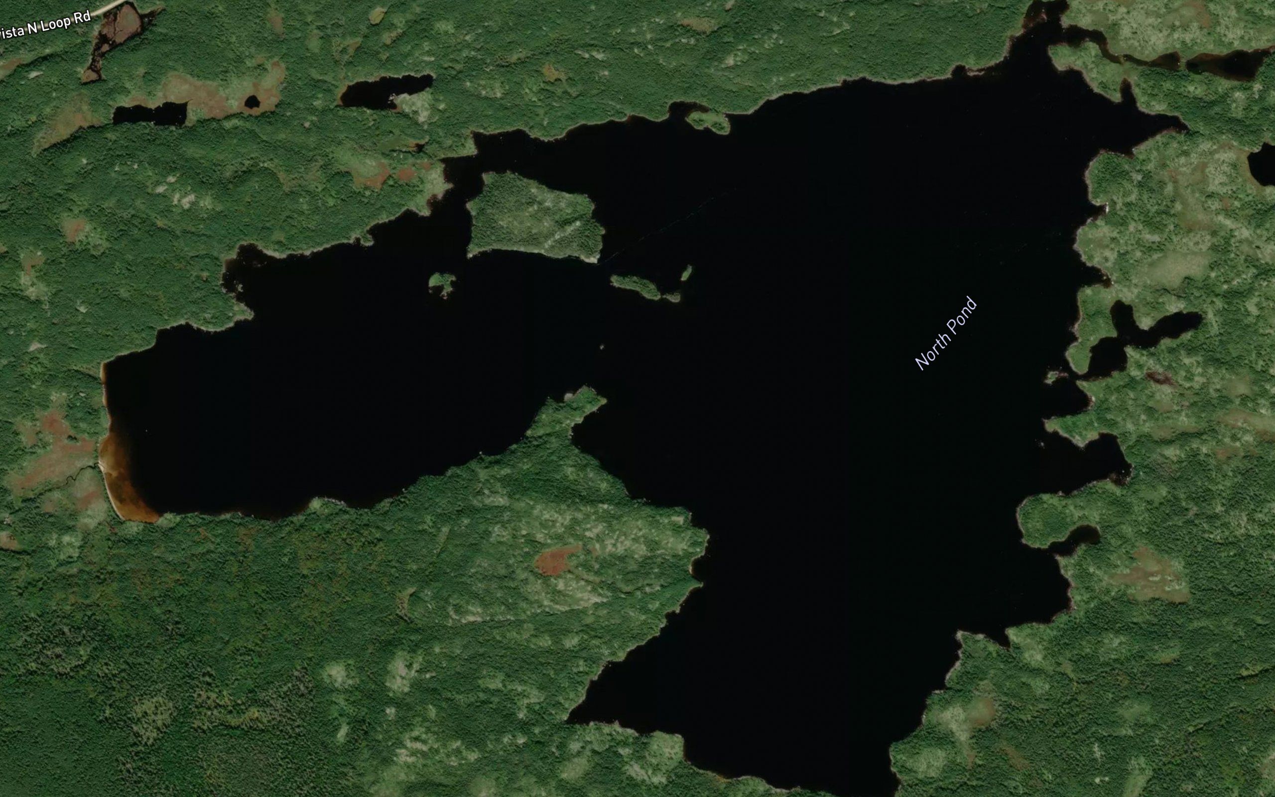 North Pond