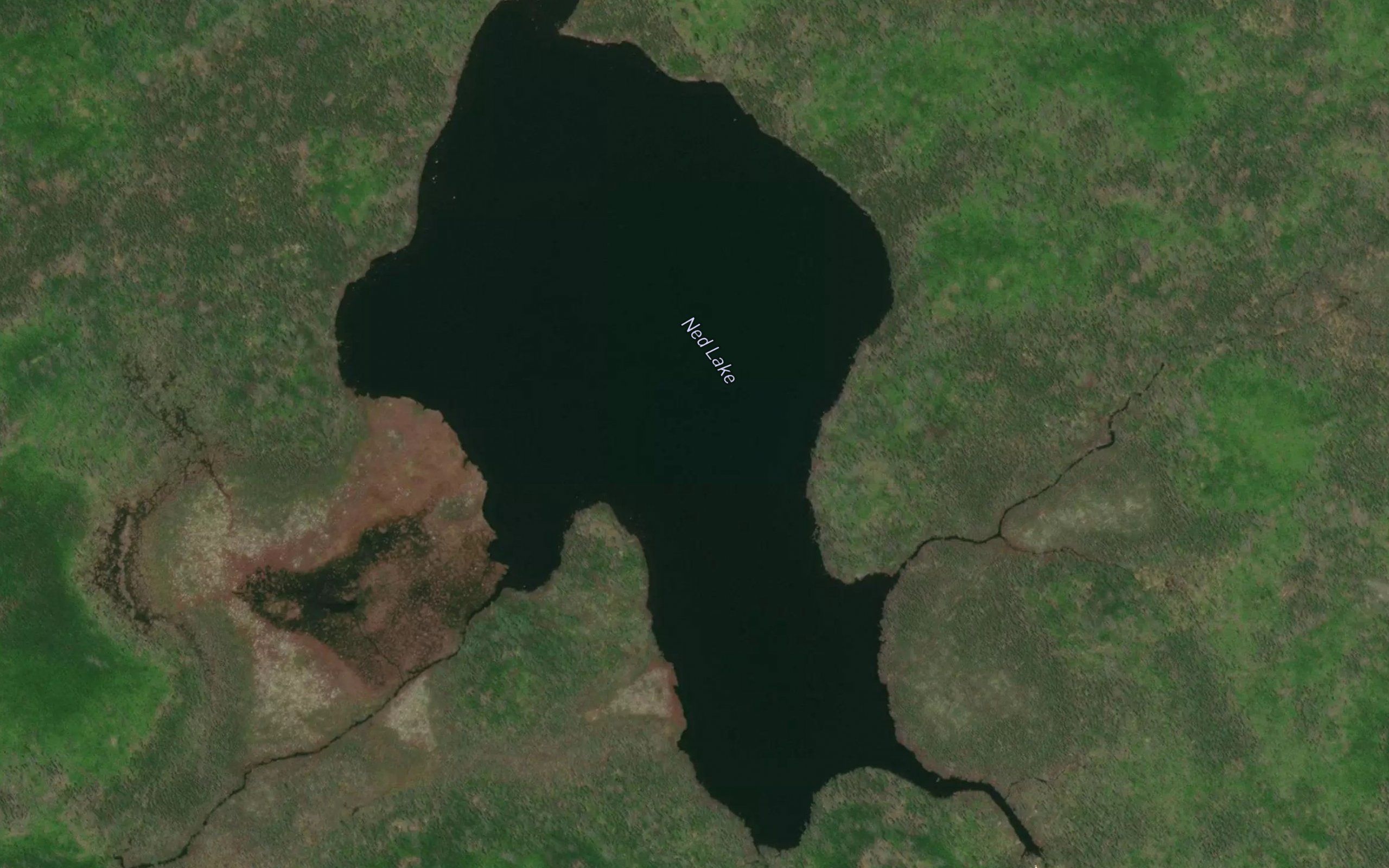 Ned Lake