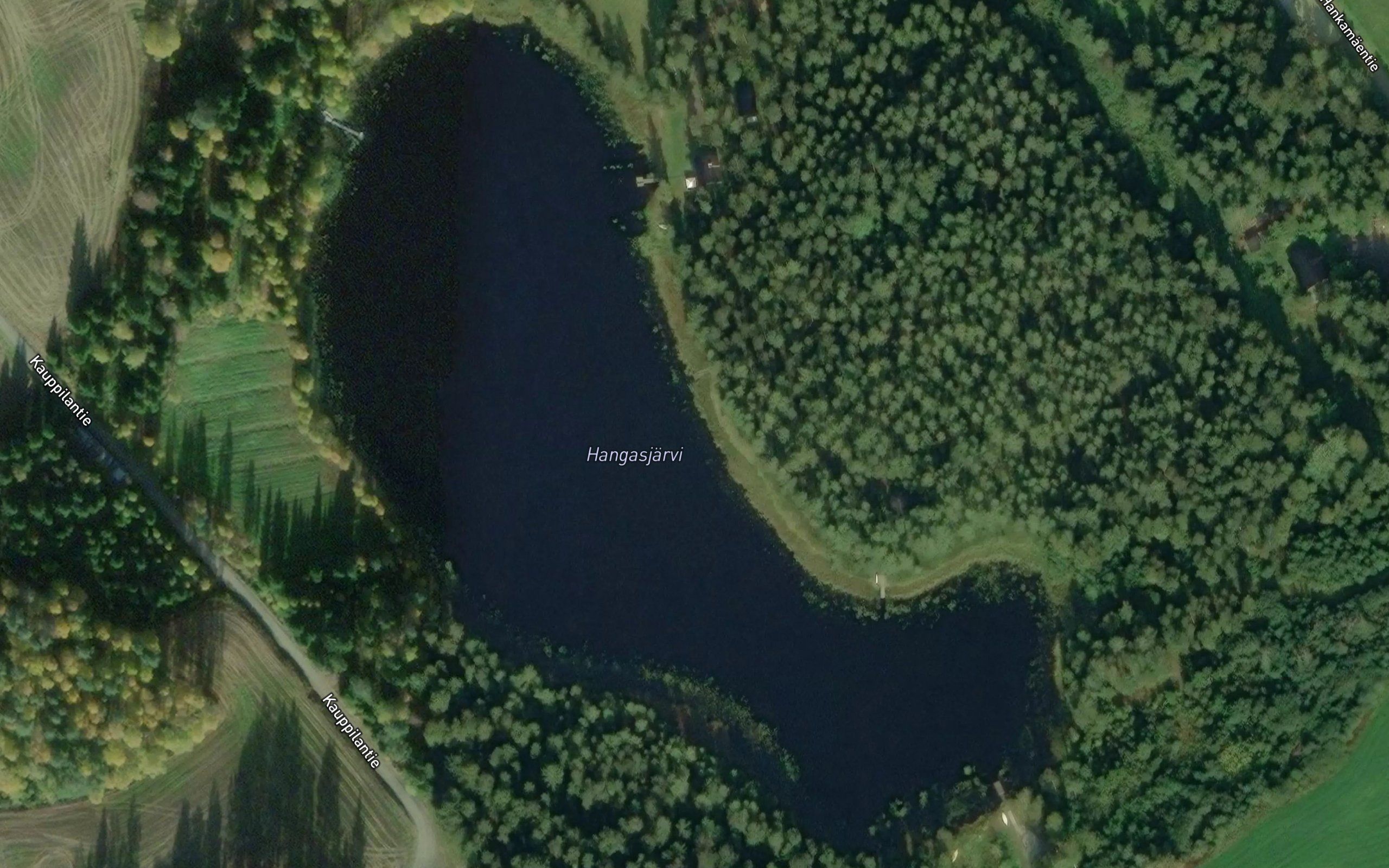 Hangasjarvi