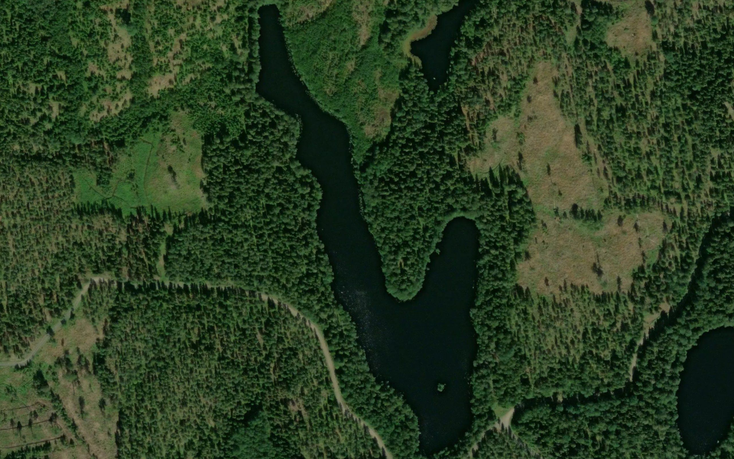 Kolmiperslammi