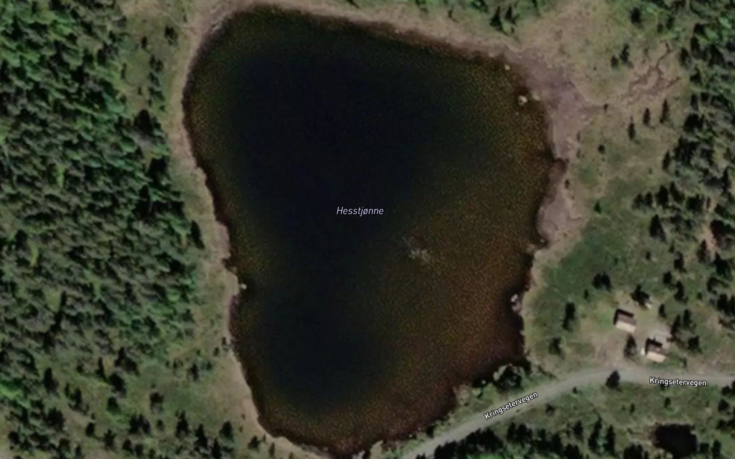 Hesstjorni