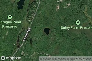 Duley Pond