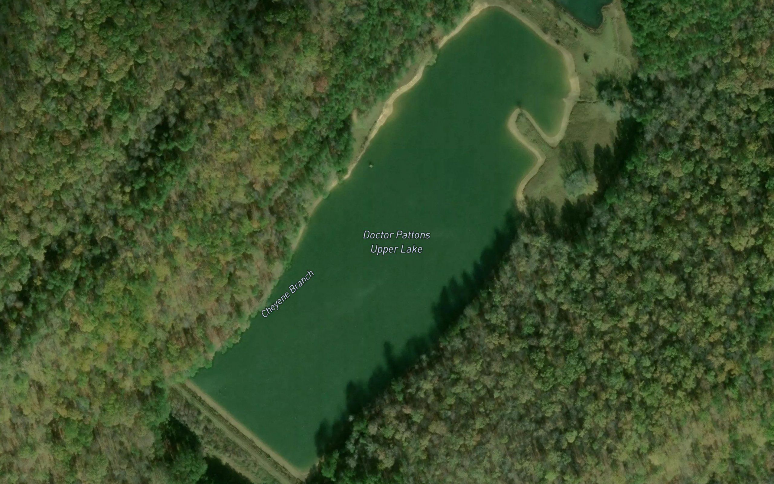 Doctor Pattons Upper Lake