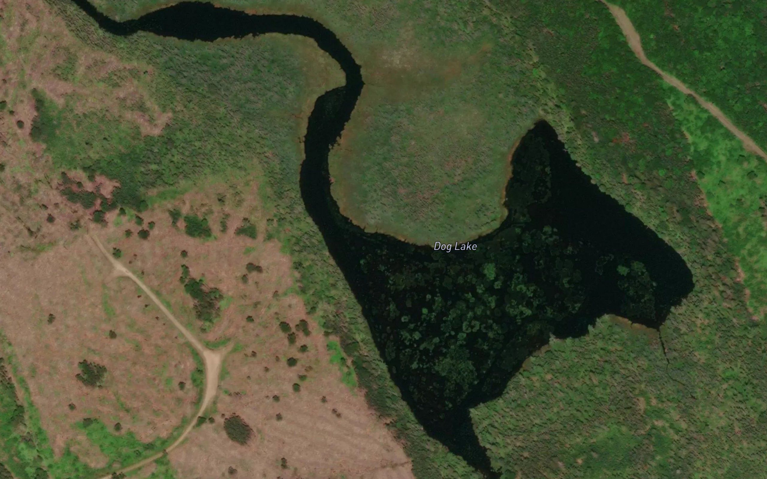 Dog Lake
