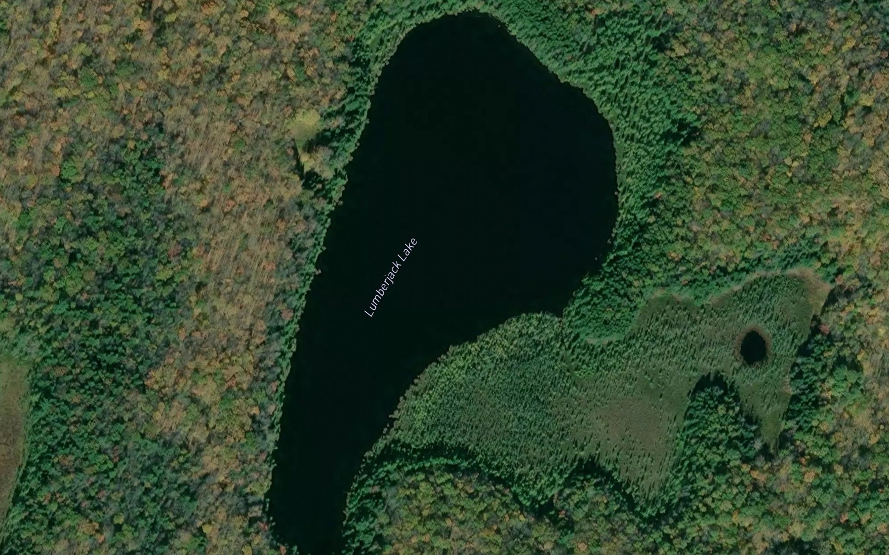 Satellite map of the Lumberjack Lake