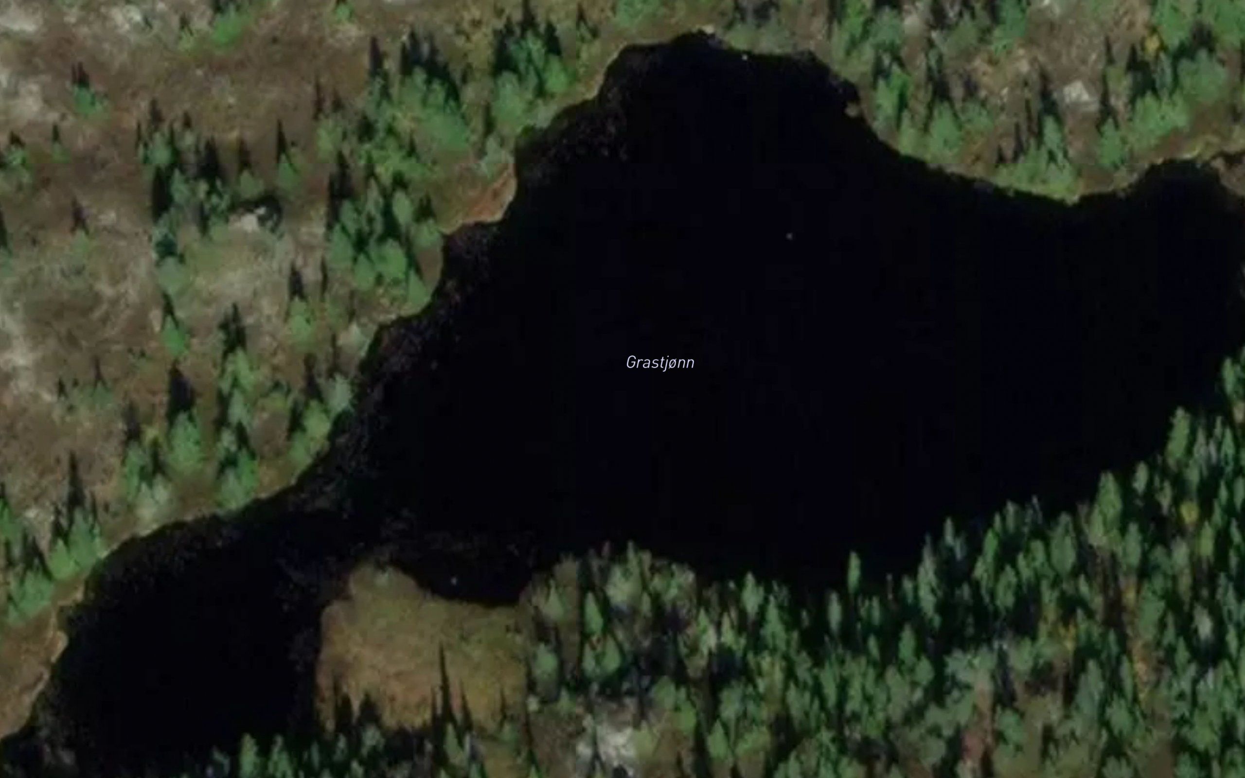 Grastjorn