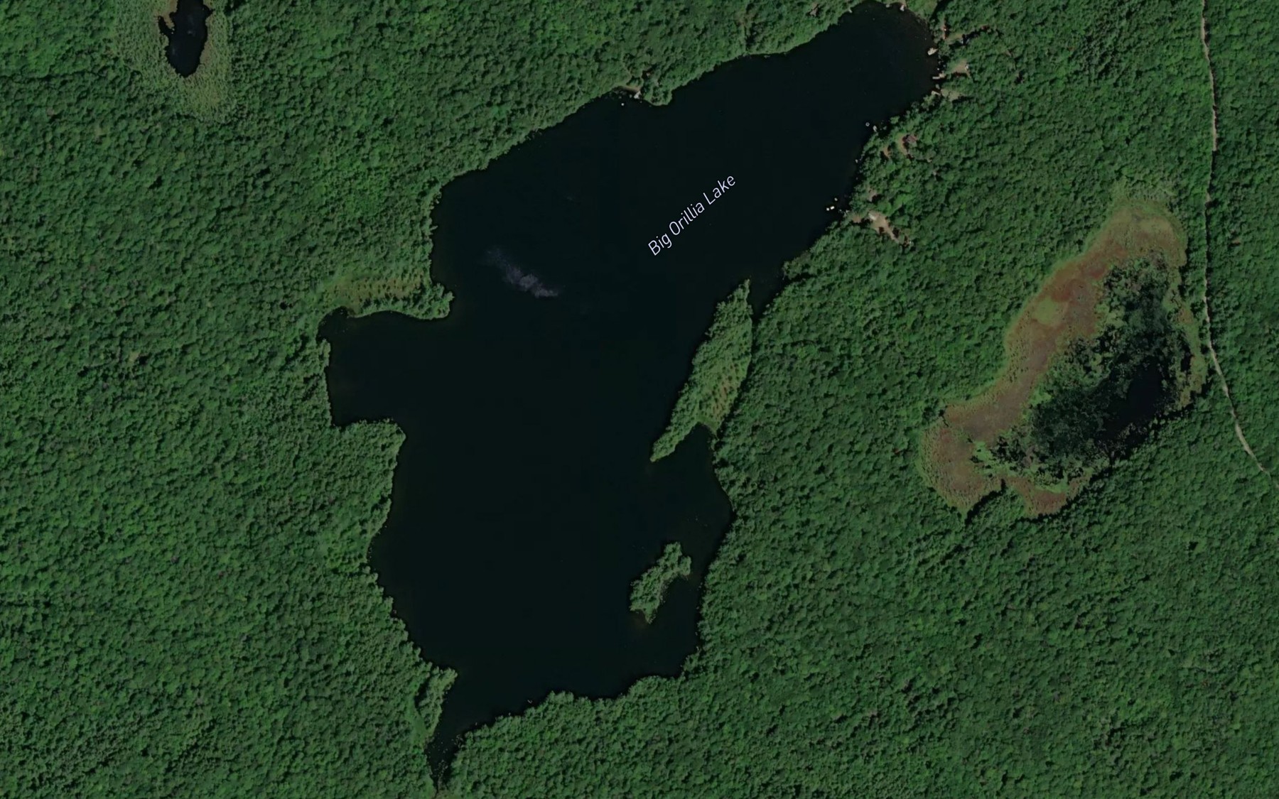 Satellite map of the Big Orillia Lake