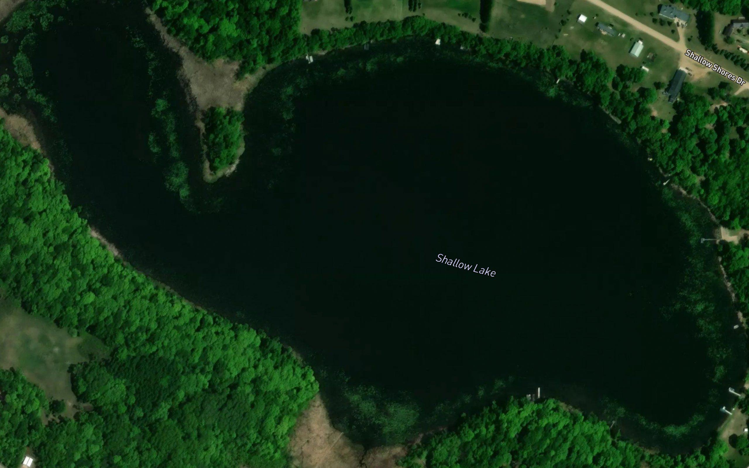 Shallow Lake