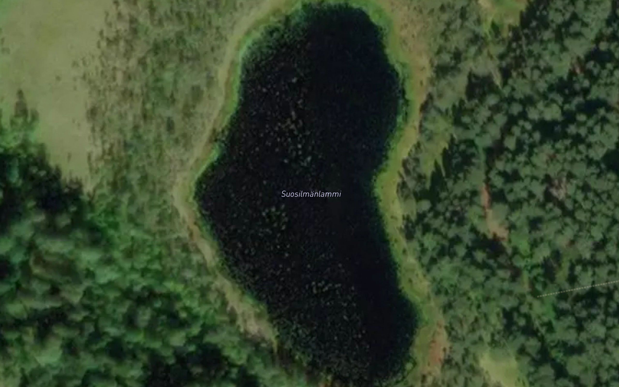 Suosilmanlammi