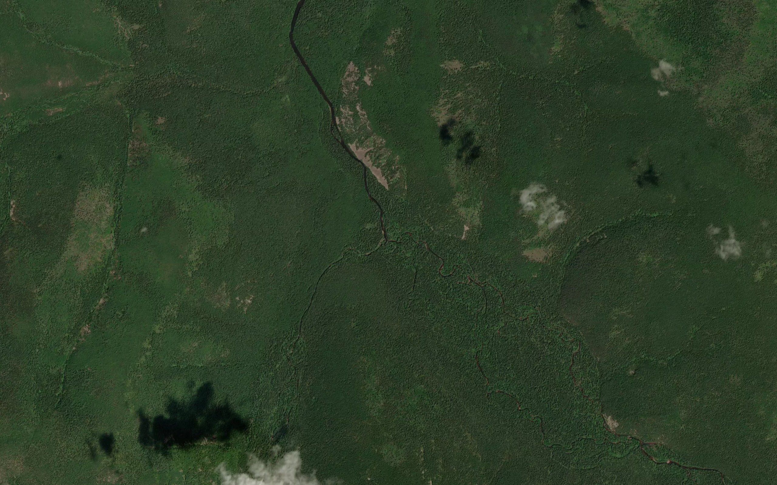 Kostina