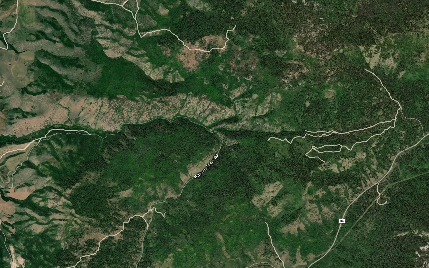 Satellite map of the Right Fork Williams Creek