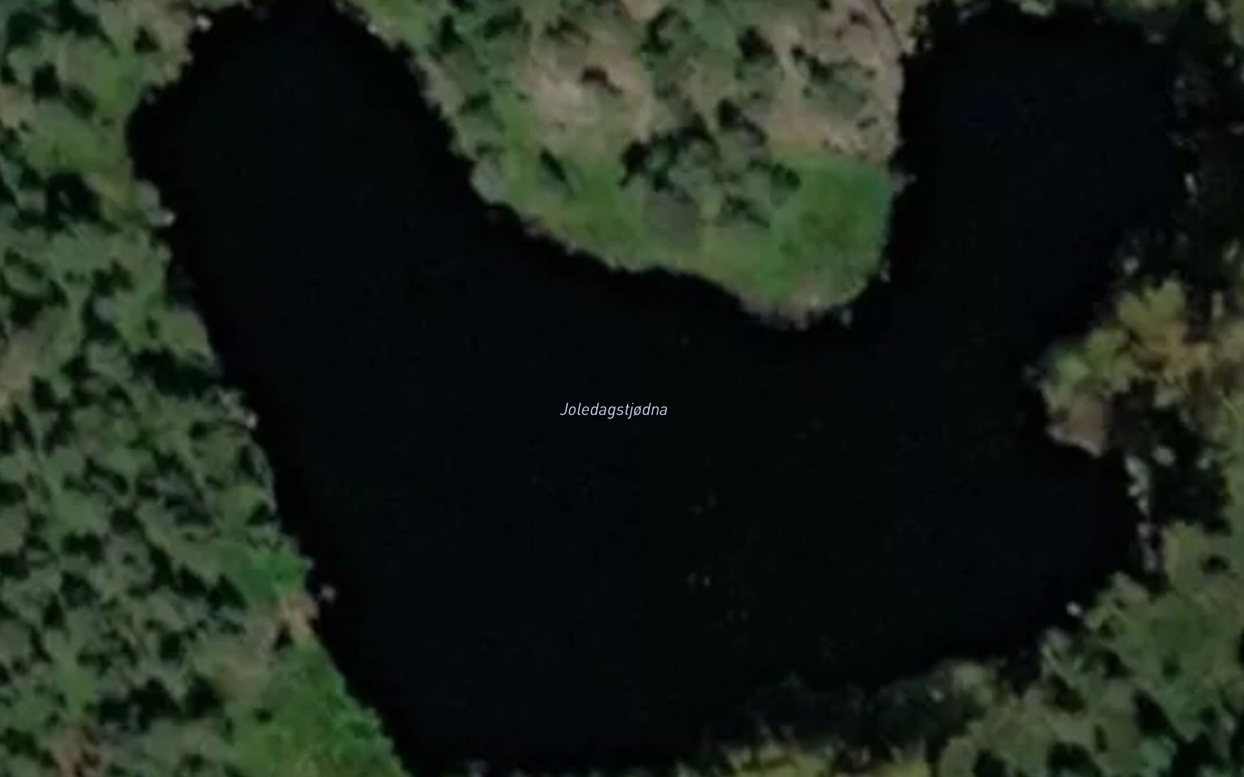 Joledagstjodna