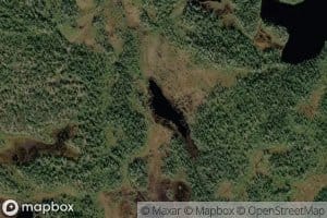 Hopotyslampi