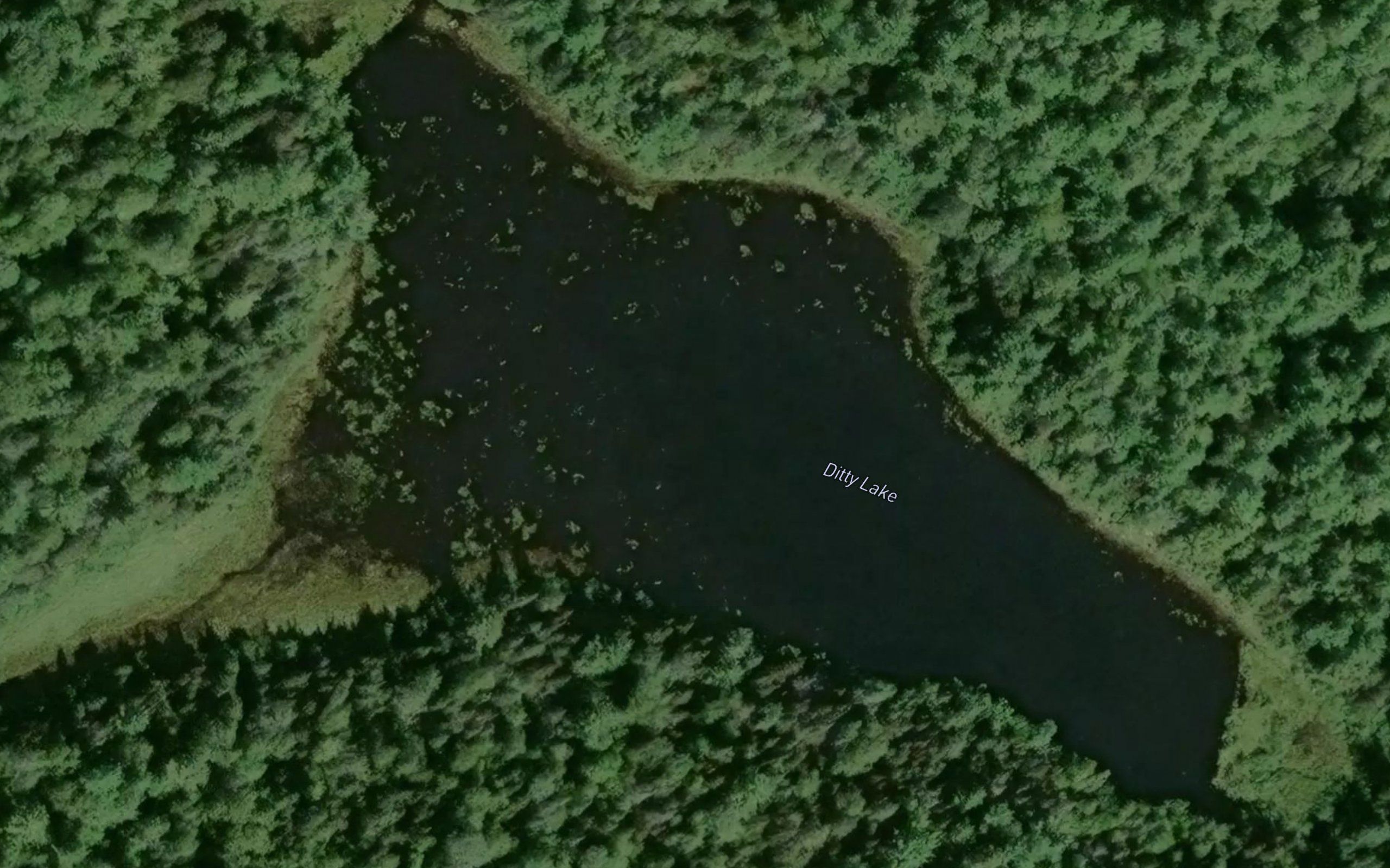 Ditty Lake