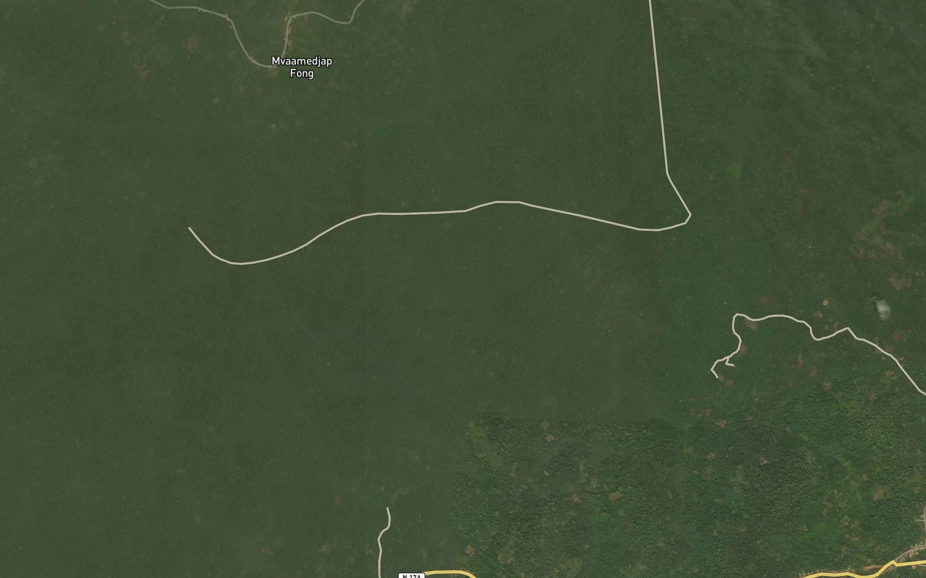 Satellite map of the Nkoasi