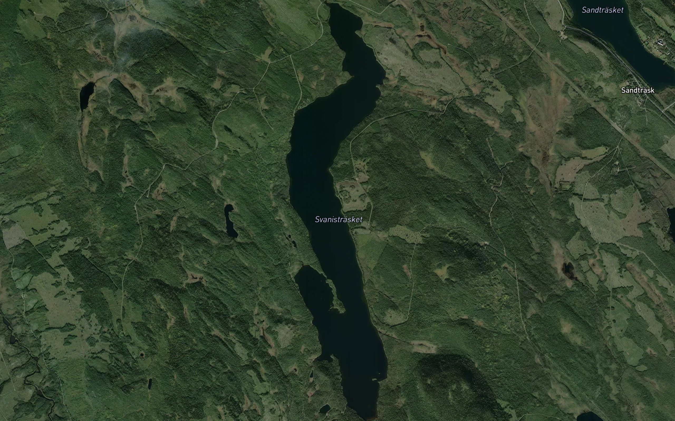 Svanistraesket
