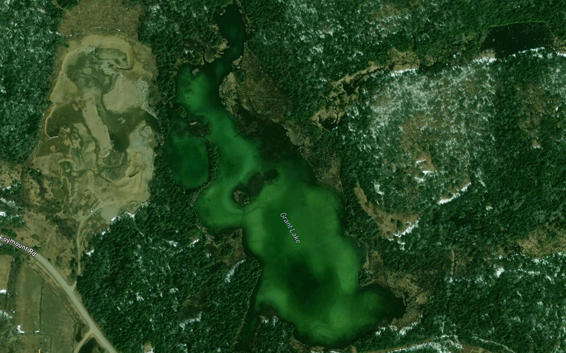 Satellite map of the Grant Lake