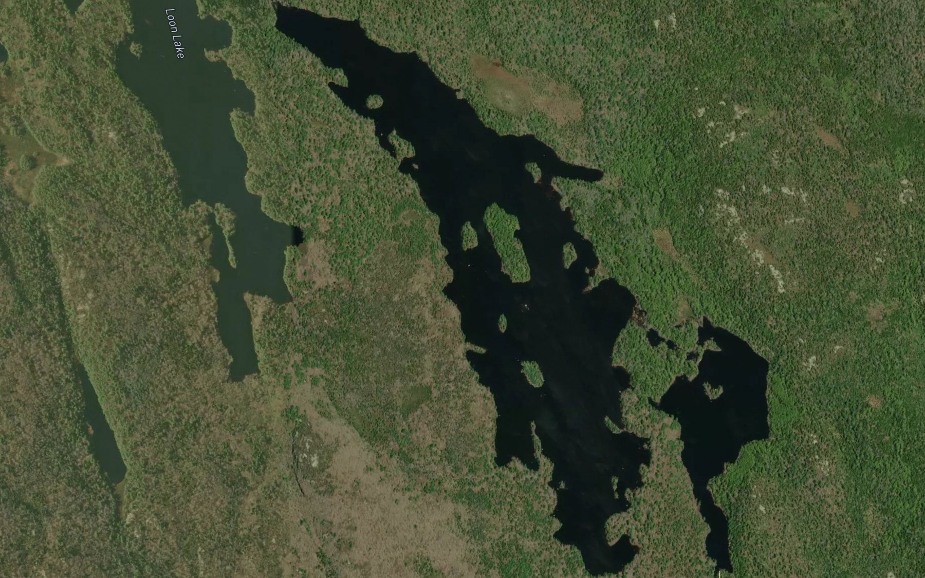 Satellite map of the Salmon River Long Lake