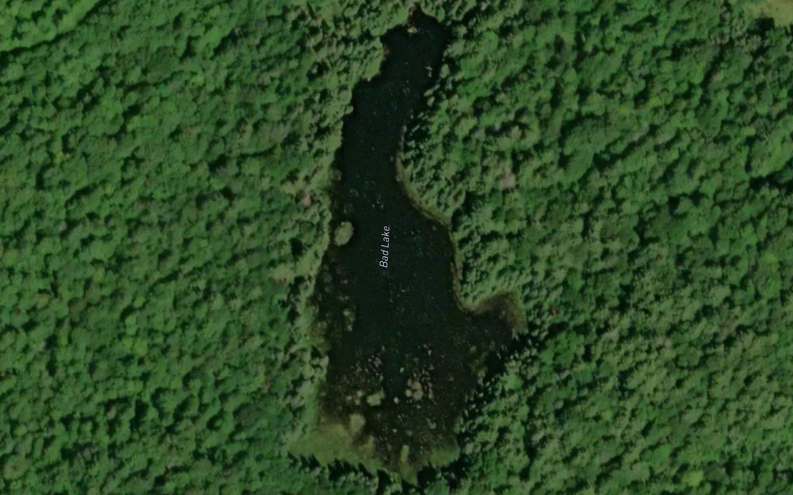 Bad Lake