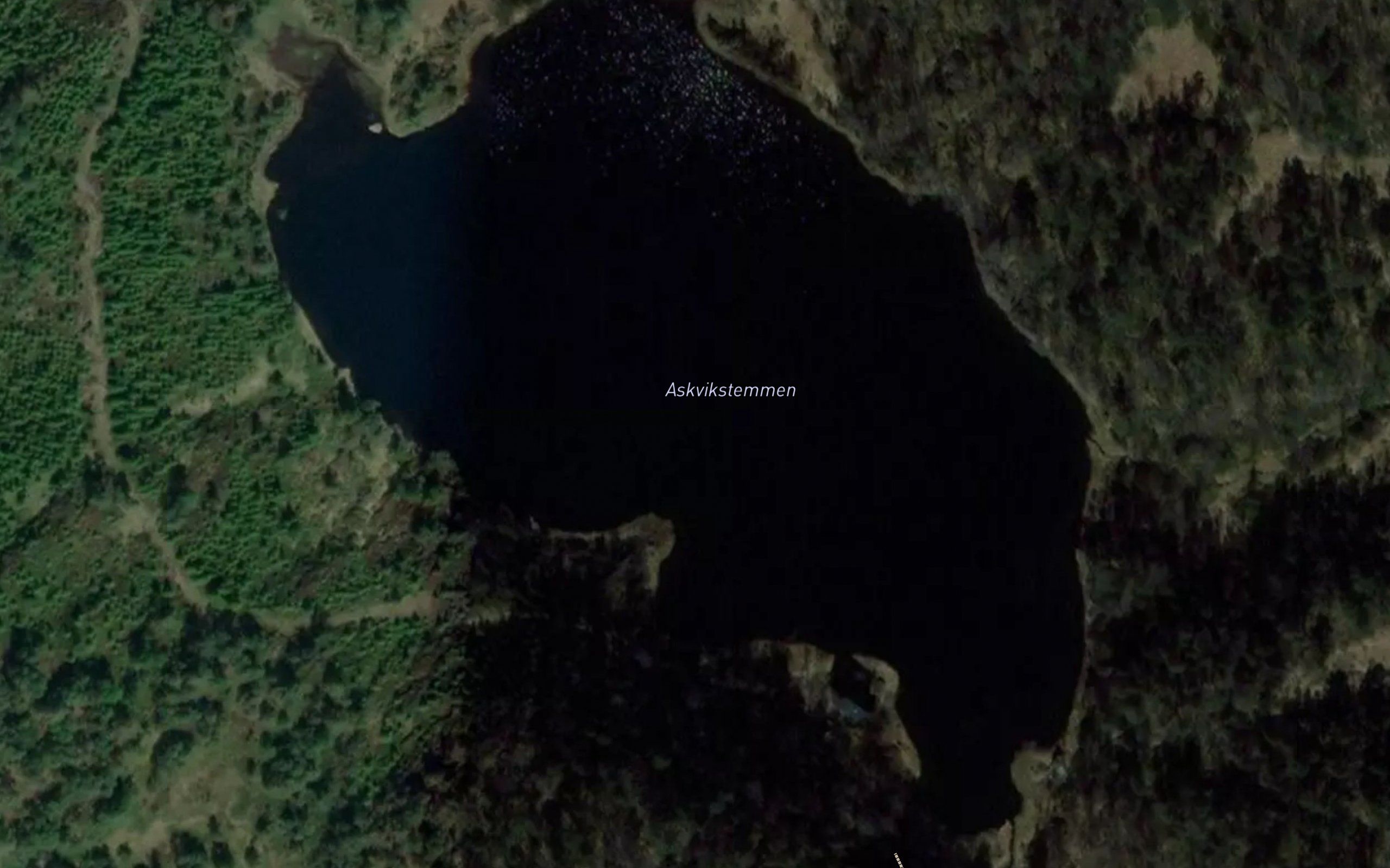Askvikstemmen