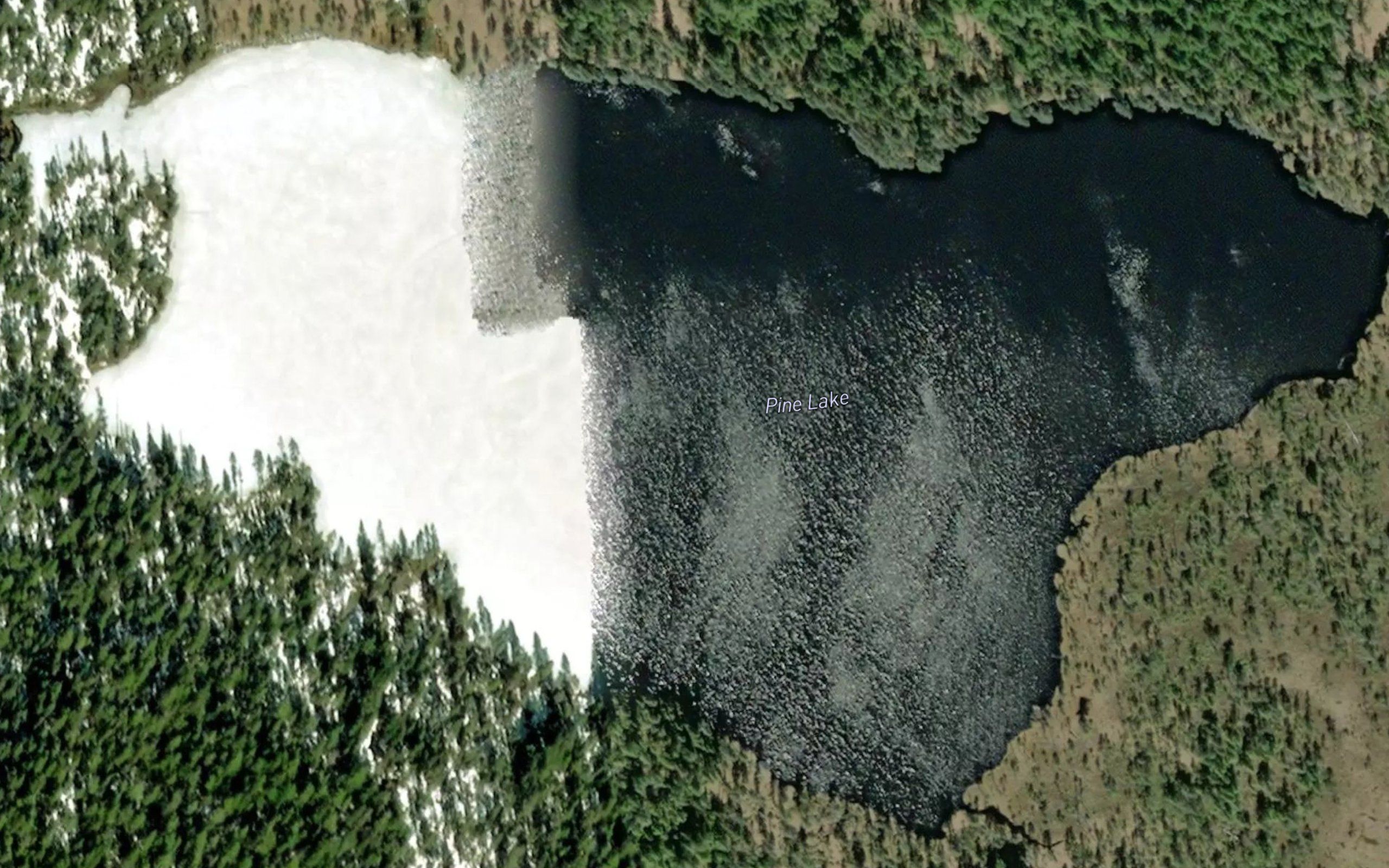Pine Lake