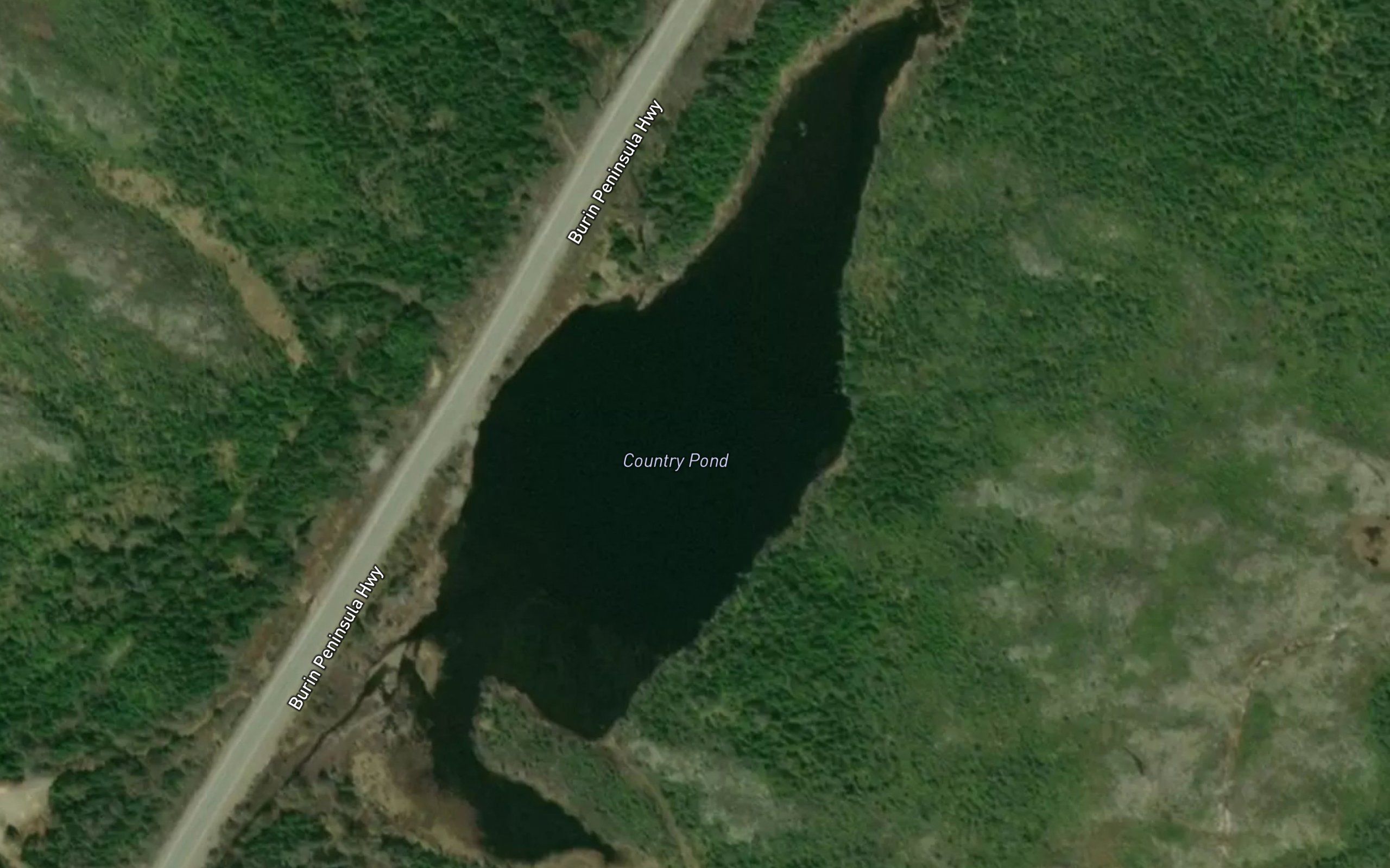 Country Pond