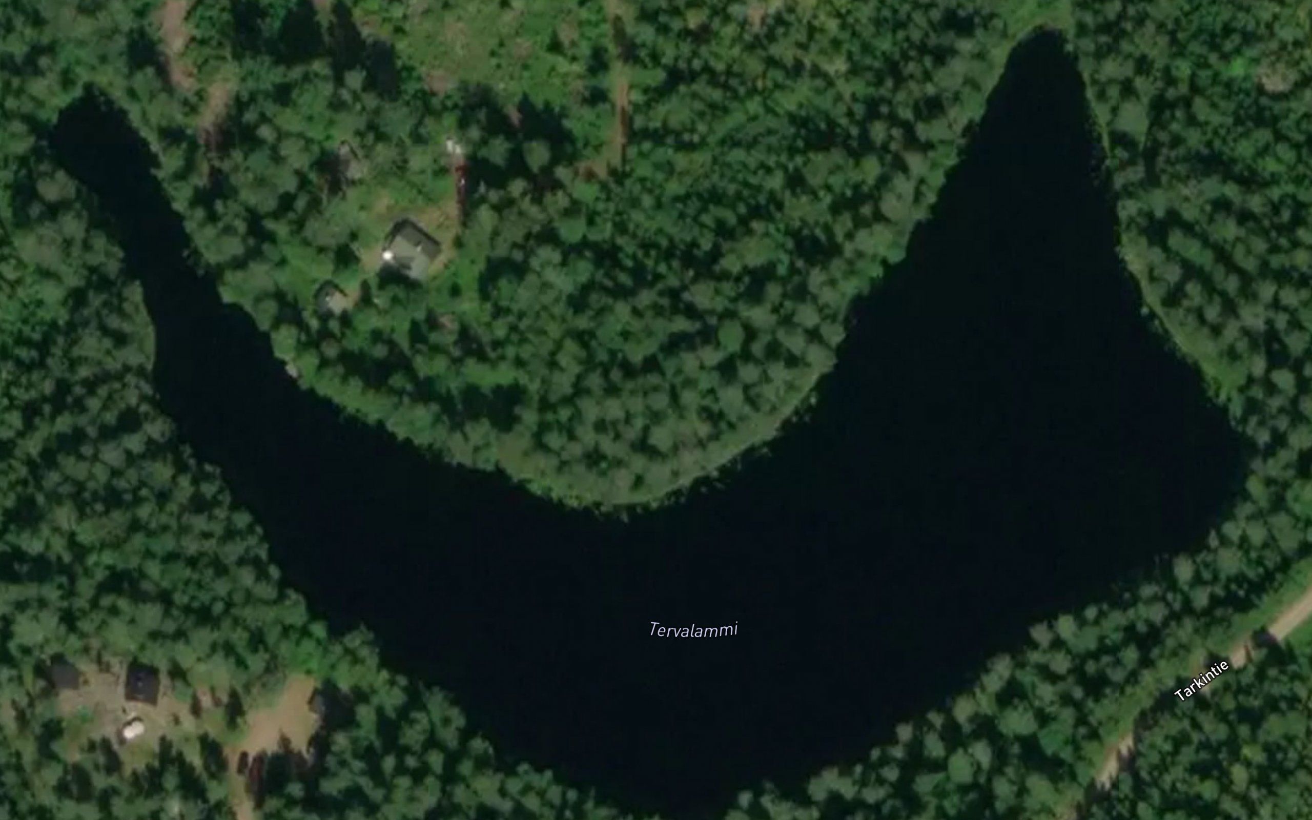Tervalammi
