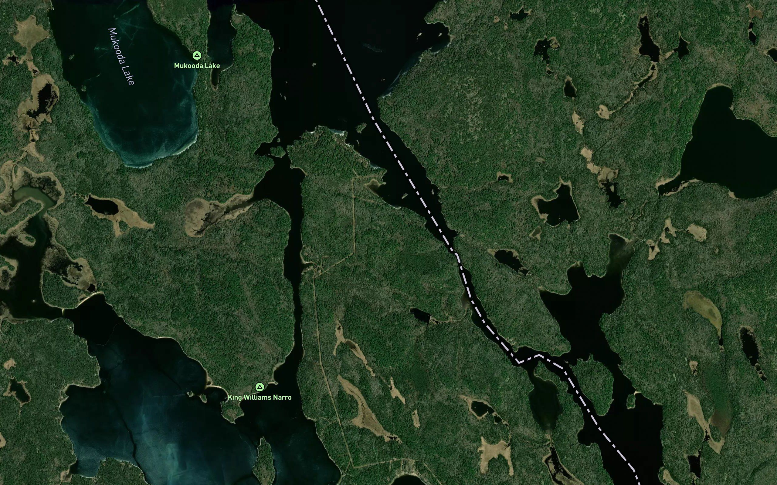 Loon River