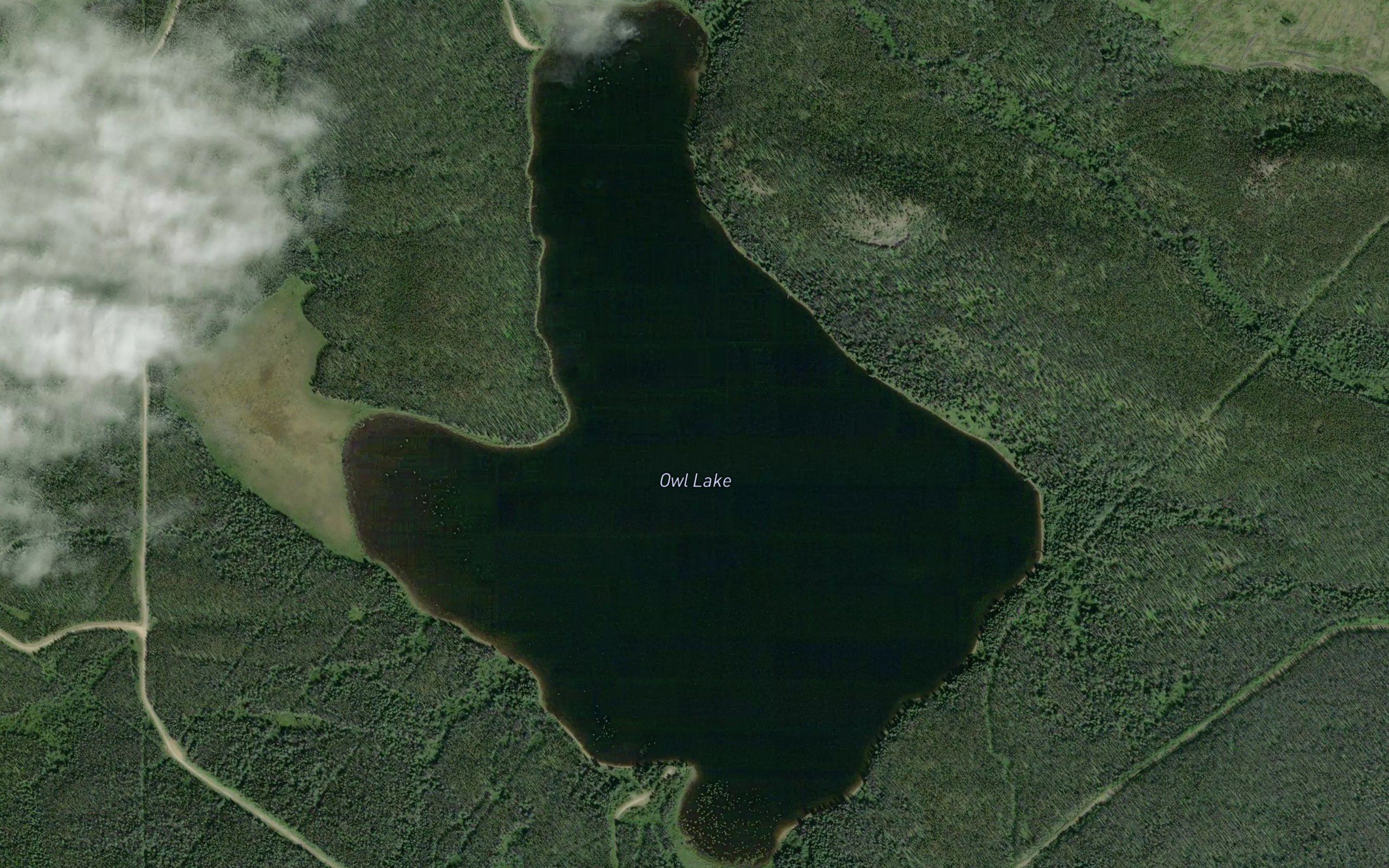 Owl Lake