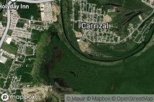 Carrizal