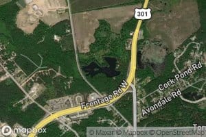 Robinson Pond