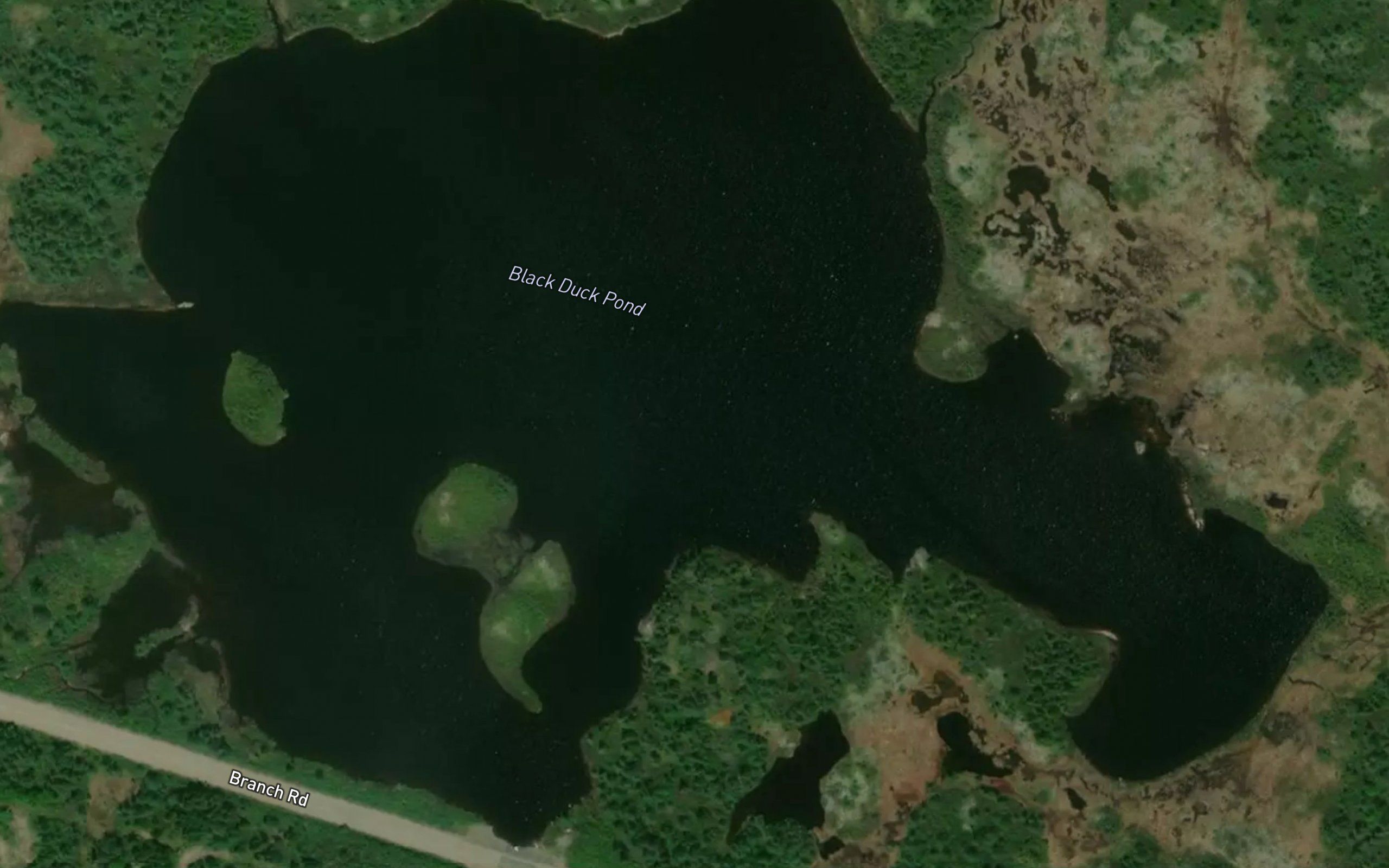 Black Duck Pond