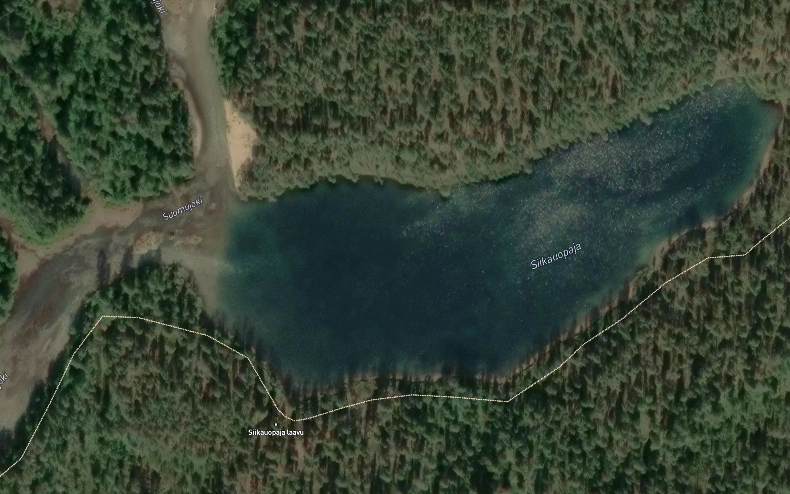 Siikauopaja
