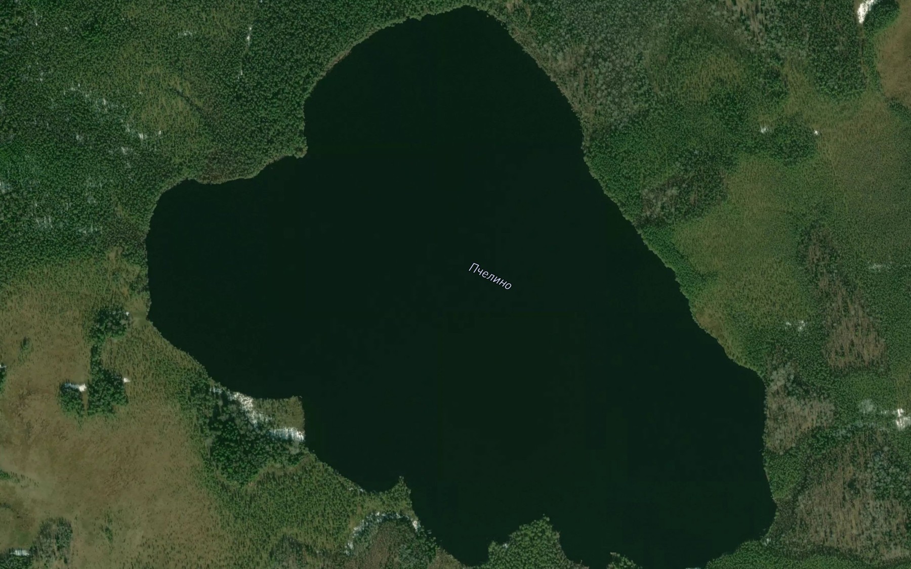 Satellite map of the Ozero Pchelino