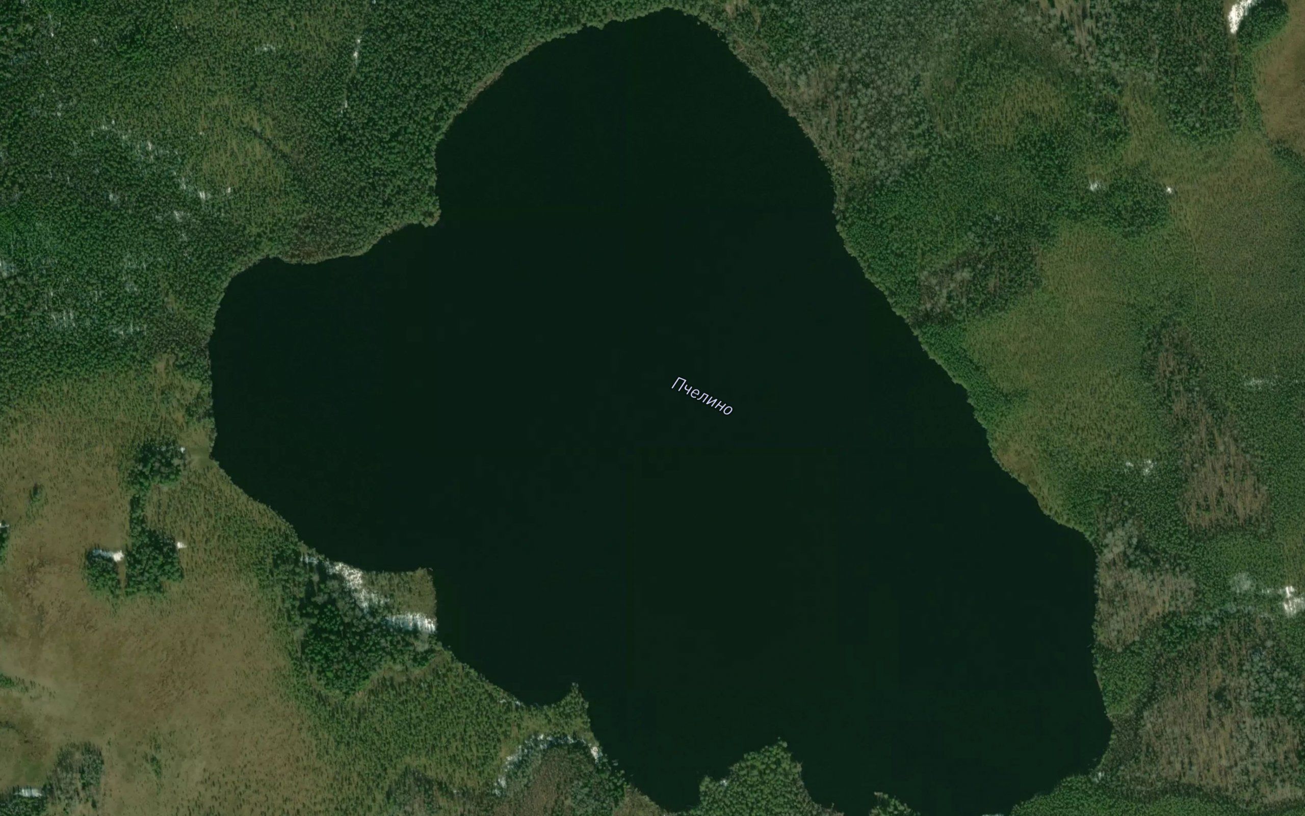 Ozero Pchelino