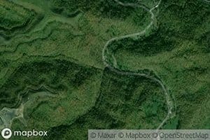 Left Fork Malachi Branch