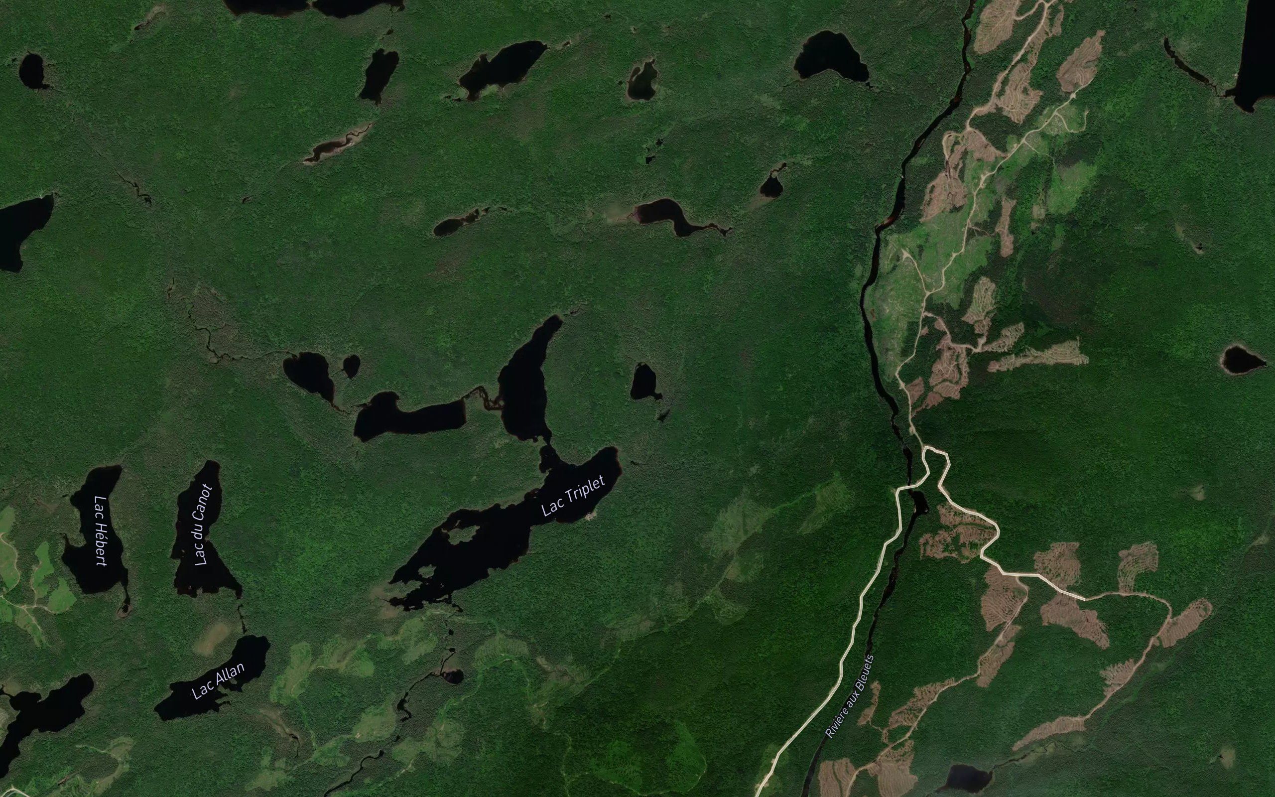 Lac Lenny