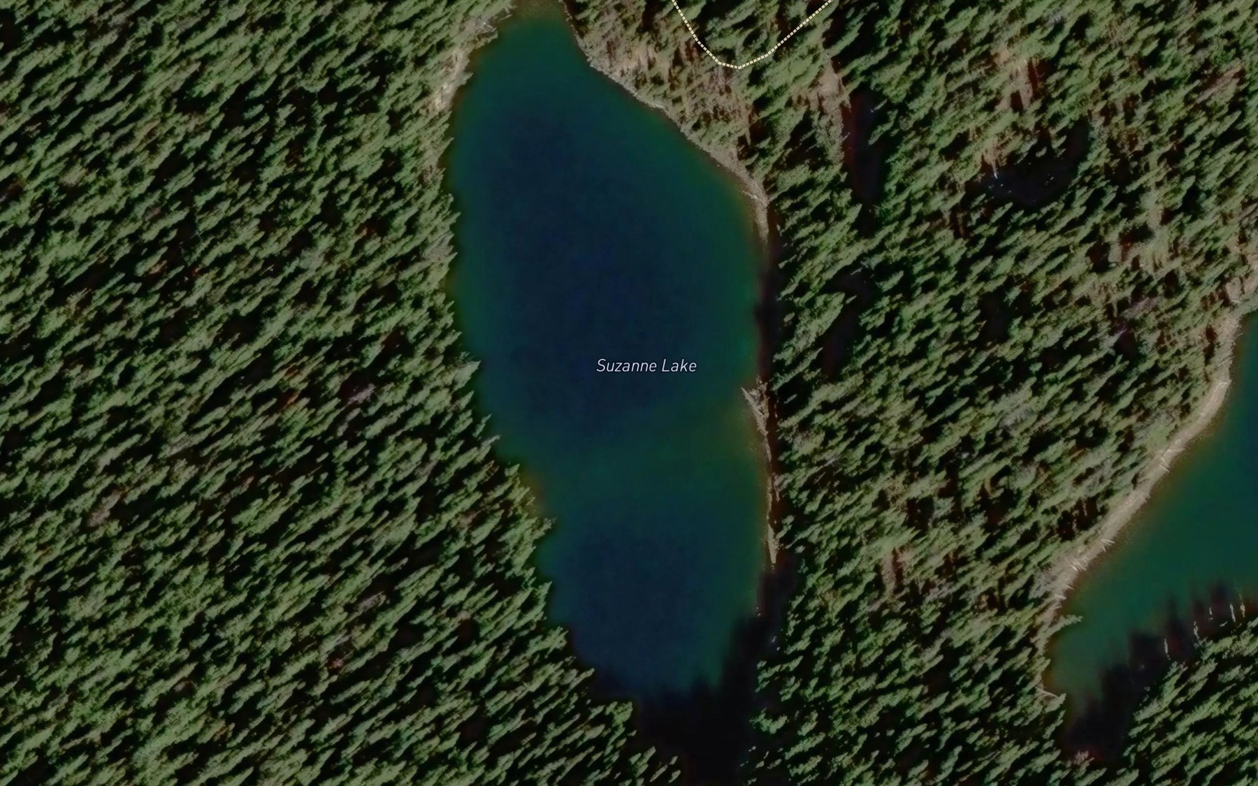 Satellite map of the Suzanne Lake