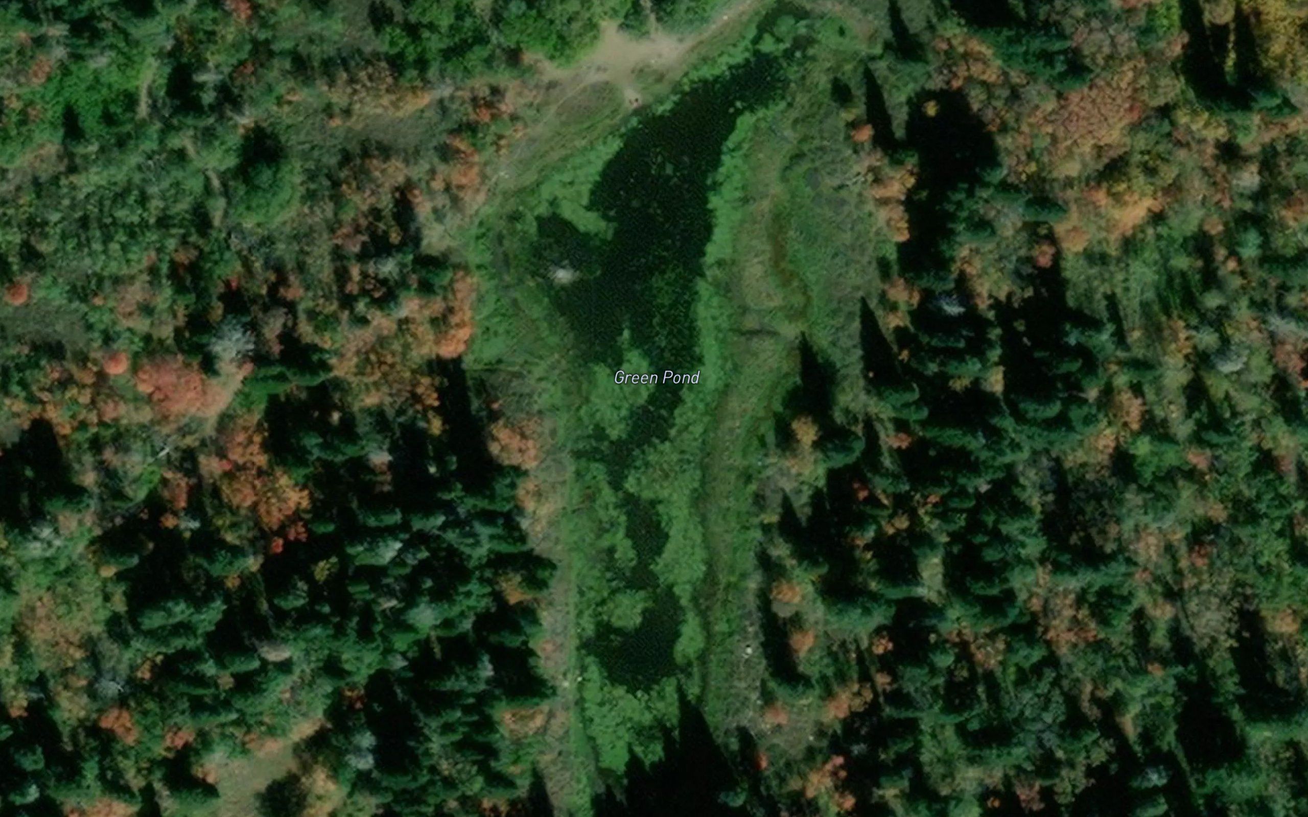 Green Pond