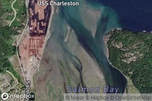 Salmon Bay