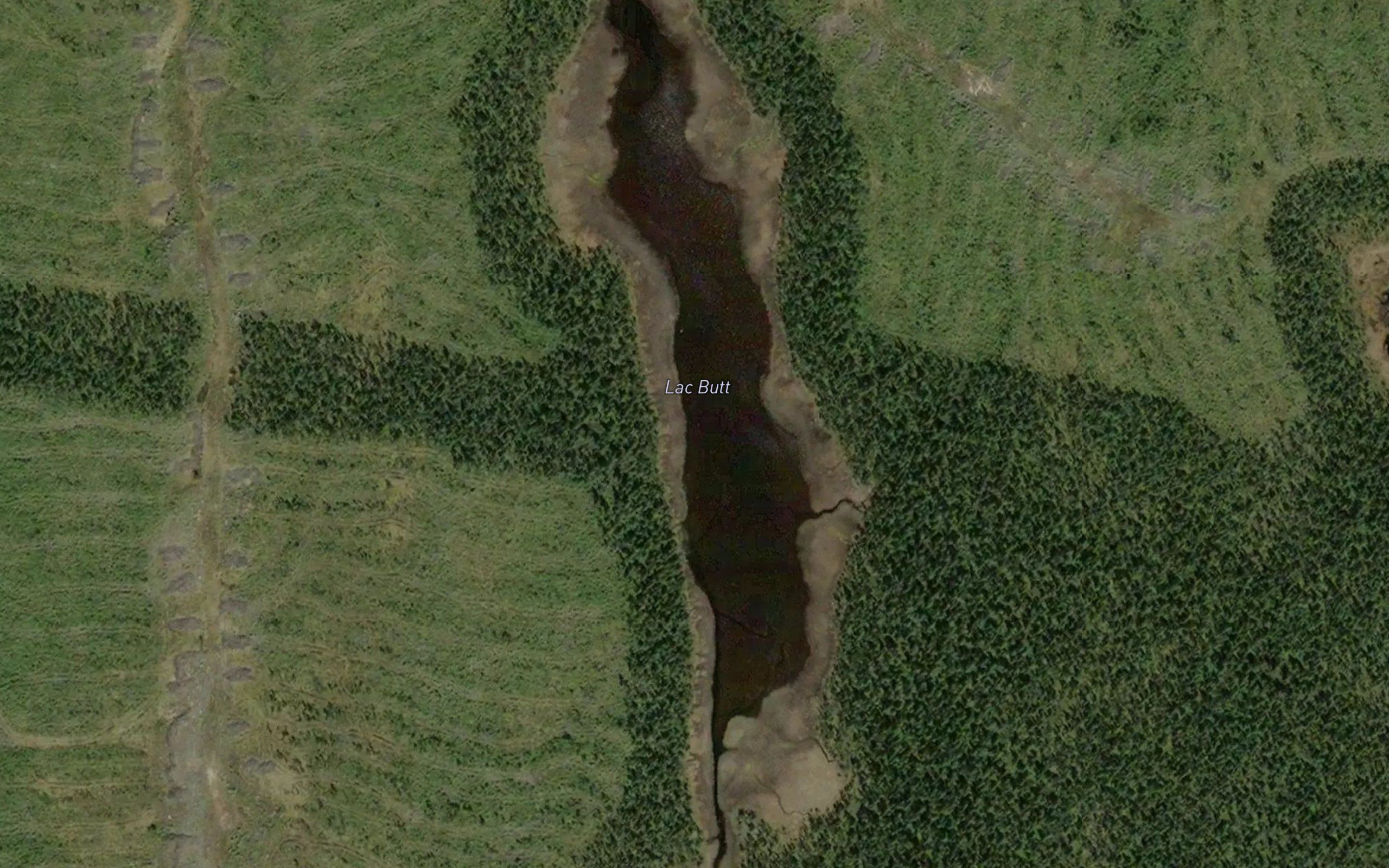Lac Butt